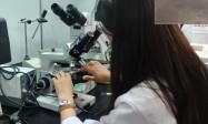 科技赋能千年藏医药！西藏农牧大学“藏育智药”项目打造产业振兴新模式