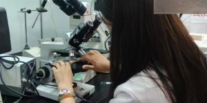 科技赋能千年藏医药！西藏农牧大学“藏育智药”项目打造产业振兴新模式