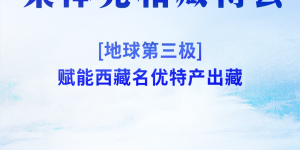 28家企业集体亮相藏博会丨地球第三极赋能西藏名优特产出藏