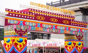 过最早新年·赏醉美林芝丨2025西藏林芝工布新年四城文旅路演广州首站引客