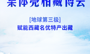 28家企业集体亮相藏博会丨地球第三极赋能西藏名优特产出藏