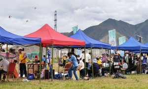 非遗传承 文化兴藏 | 首届地球第三极风筝文化节圆满落幕，拉萨风筝文化IP势能初显